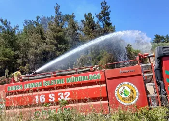 Bursa’da piknik alanı yakınındaki yangın korkuttu