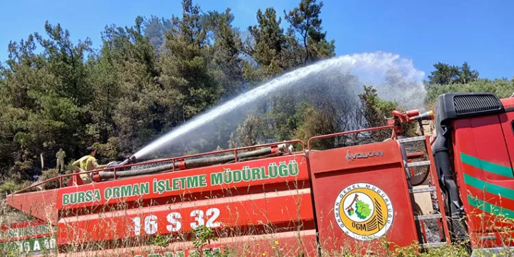 Bursa’da piknik alanı yakınındaki yangın korkuttu