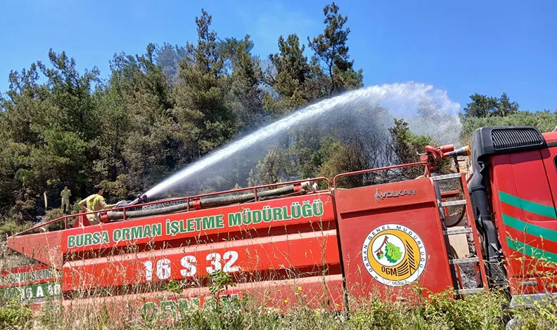 Bursa’da piknik alanı yakınındaki yangın korkuttu