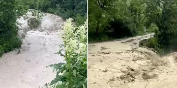 Bolu’da dereler taştı, tarım arazileri sular altında kaldı