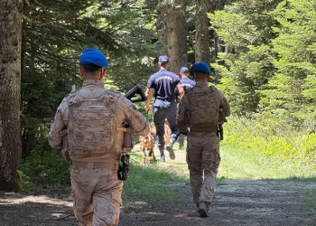 Uludağ’ın ormanları Jandarma’ya emanet