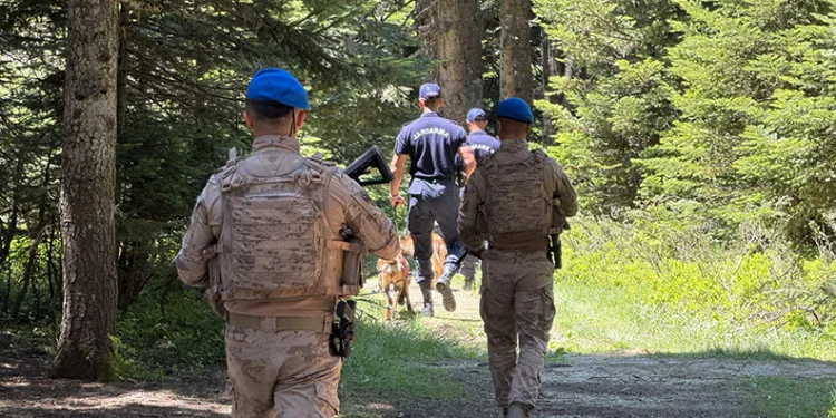 Uludağ’ın ormanları Jandarma’ya emanet