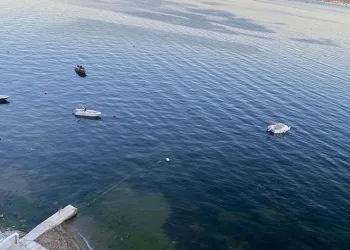Müsilajın ardından Gemlik Körfezi’nde sevindiren görüntüler