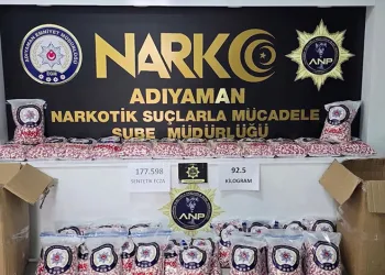 Adıyaman’da bir haftada 67 aranan şahıs yakalandı