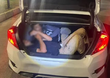 Hatay’da 15 kaçak göçmen yakalandı