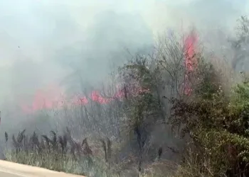 Bursa’da otluk alanda çıkan yangın korkuttu