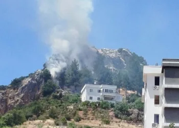 Kahramanmaraş’ta orman yangını