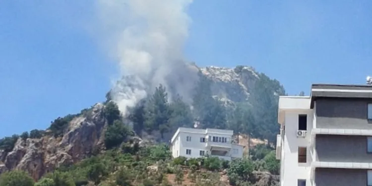 Kahramanmaraş’ta orman yangını