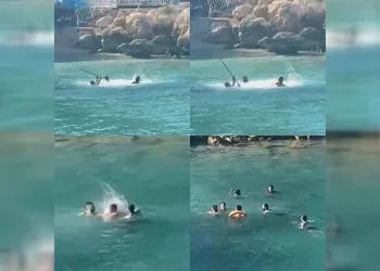 Mersin’de denizin ortasında sopalı kavga kamerada