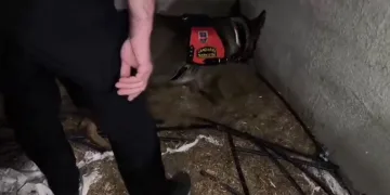 Ahırda saman içinde saklı 2 kilo uyuşturucu ele geçirildi