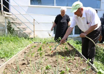Nilüfer’de yaşlılar fideleri toprakla buluşturdu