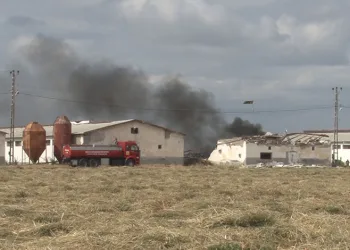 Havai fişek deposunda korkutan yangın