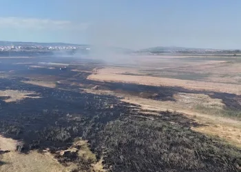 Karacabey’de korkutan yangın: Alevler fabrika yakınına kadar ilerledi