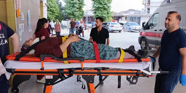 Kiraz toplamak için çıktığı ağaçtan düşerek yaralandı