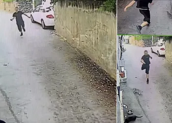 Telefonu çaldı, tazı gibi koştu