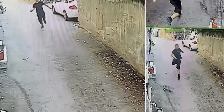 Telefonu çaldı, tazı gibi koştu
