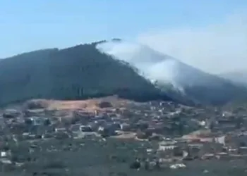Balıkesir’deki orman yangını