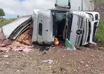 Amasya’da tavuk eti yüklü tır şarampole uçtu: 2 yaralı