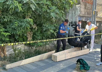 Kaybolan kedisini ararken ceset buldu