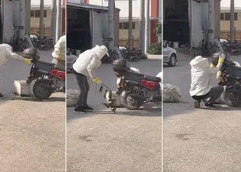 Arılar motosiklette oğul verdi