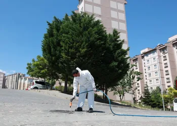 Osmangazi Belediyesi’nden haşerelere karşı etkin mücadele
