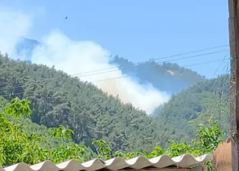 Soma’daki orman yangınına müdahale devam ediyor