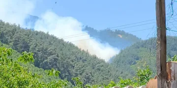 Soma’daki orman yangınına müdahale devam ediyor