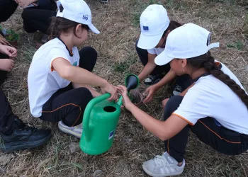 Minik öğrenciler fide dikerek doğa bilinci kazandı