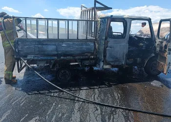 Mazot ve yağ yüklü kamyonet alevlere teslim oldu