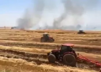 Anız yangını tarım malzemelerini kül etti