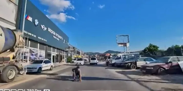 Yola düşürdüğü eşyayı almak isterken saniyelerle ölümden kurtuldu