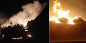 Cunda Adası’ndaki orman yangını kontrol altına alındı