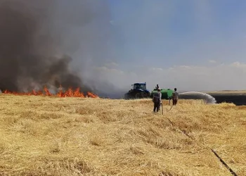 Diyarbakır’da yüzlerce dönüm arazi alevlere teslim oldu