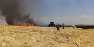 Diyarbakır’da yüzlerce dönüm arazi alevlere teslim oldu