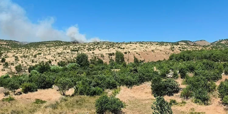 Dicle’de ağaçlık alanda yangın