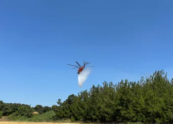 Çanakkale’de tarım arazisinde yangın