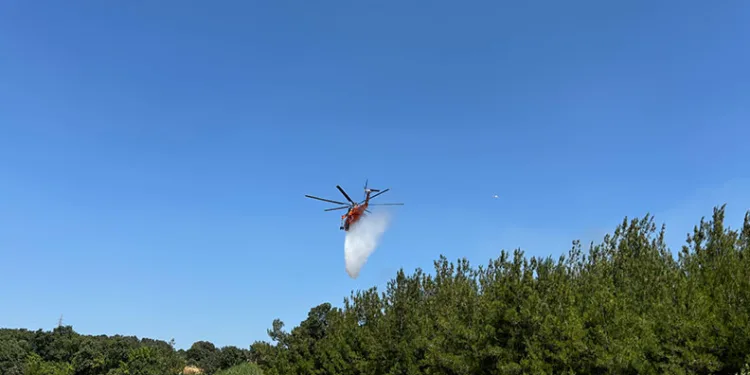 Çanakkale’de tarım arazisinde yangın