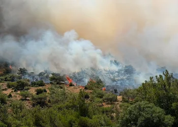 İzmir’de makilik alandaki yangına müdahale sürüyor