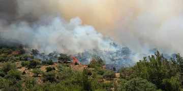 İzmir’de makilik alandaki yangına müdahale sürüyor