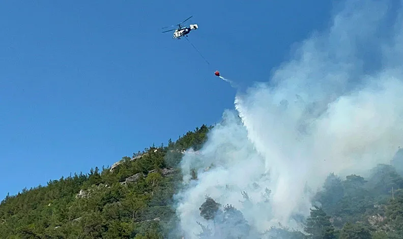 Bursa’da ormanlık alanda yangın