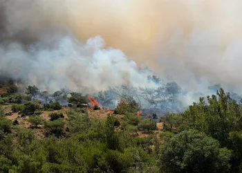 Dikili’deki yangına havadan 7 uçakla müdahale