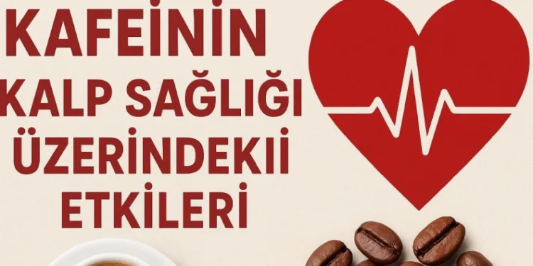 Kafeinin Kalp Sağlığı Üzerindeki Etkileri Nelerdir?