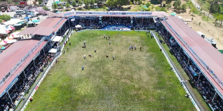 Manisa, Yuntdağı Yağlı Güreşleri’nde pehlivanları ağırlayacak