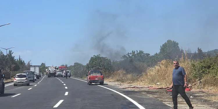 Bursa’da etçil çekirgeler görüntülendi