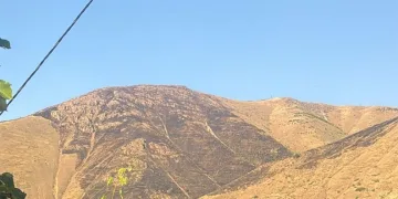Elazığ’da dağlık alanda çıkan yangın söndürüldü