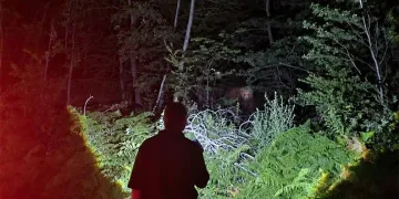Bursa’da orman ekiplerinin koruma kontrolü sırasında ayı sürprizi
