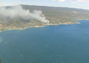Yalova Armutlu’da yangın! Ekipler müdahaleye başladı