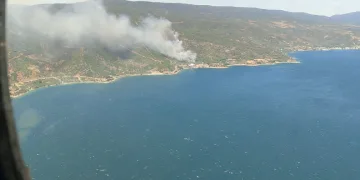Yalova Armutlu’da yangın! Ekipler müdahaleye başladı