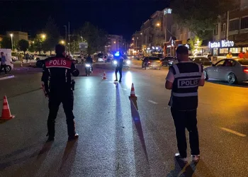 Bursa’daki yangında 100 dönüm alan zarar gördü