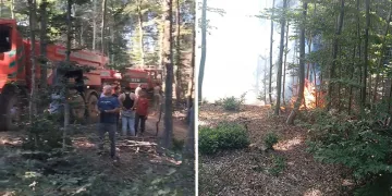 Karacabey’de orman yangını kontrol altına alındı
